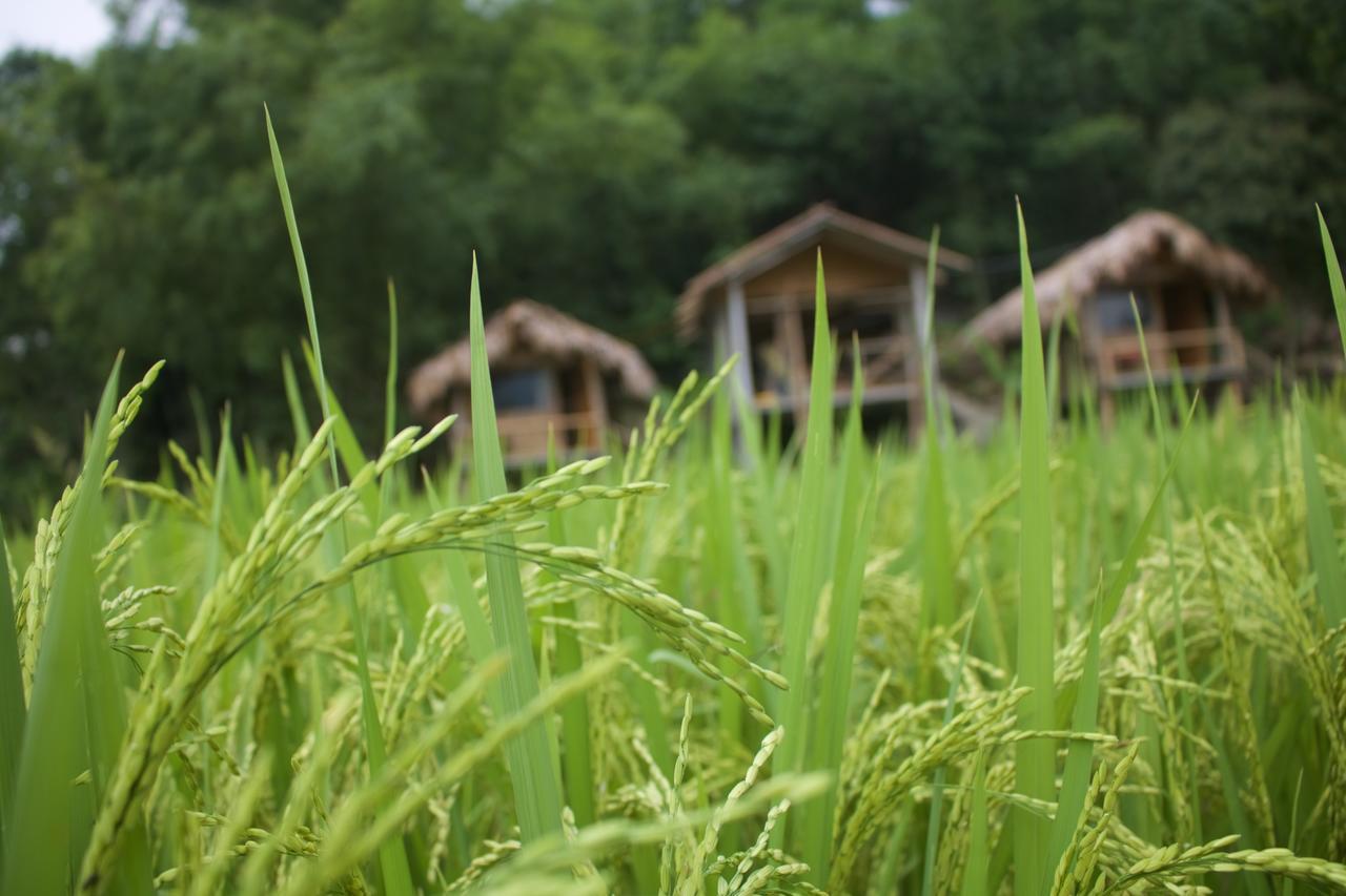 Little Mai Chau Home Stay Exterior photo